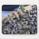 Search for bee queen mouse mats Bumblebee