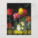 Search for missing you mom postcards Thanks