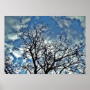 Search for dramatic sky Tree