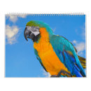 Search for parrot calendars Animal