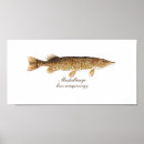 Search for pike fishing posters Freshwater