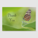 Search for x wing thank you cards Animal