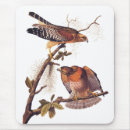 Search for bird of prey mouse mats Falcon