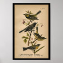 Search for warbler posters Ornithology