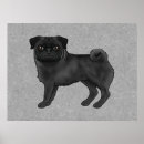 Search for black pug posters Cute