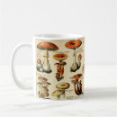 Search for fungi mugs Toadstool