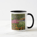Search for environment mugs Netherlands