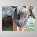 Search for barnyard posters Pony