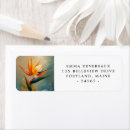 Search for birds of paradise return address labels Elegant