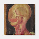 Search for anatomically magnets Anatomy