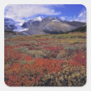 Search for huckleberry stickers Landscape