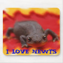 Search for newts electronics Nature