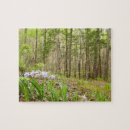 Search for smoky mountains puzzles National park