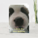 Search for puppy nose cards Funny