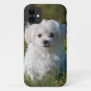 Search for fluffy animal iphone cases Dog