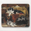 Search for cat painting electronics Black and white cat