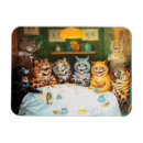 Search for cat magnets Kitten