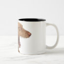 Search for front and back mugs Horizontal