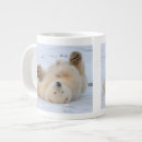 Search for polar bear cub mugs Alaska