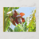 Search for plant trees postcards Flower