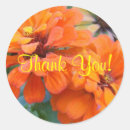 Search for orange marigold stickers Flowers
