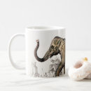 Search for asiatic mugs Asian animal