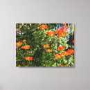 Search for tropical flowers canvas prints Colourful