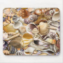 Search for mollusk electronics Shell