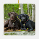 Search for black lab puppy christmas tree decorations Dog