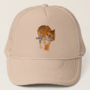 Search for tigers in hats Animal