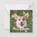 Search for corgi christmas cards Xmas