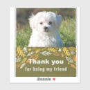 Search for friendships stickers For kids