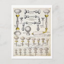 Search for handle postcards English