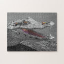 Search for crocodile puzzles Wildlife