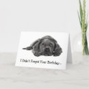 Search for dog drawing cards Pencil