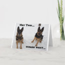 Search for german shephard cards Veterinarian