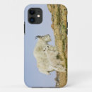 Search for colorado rocky mountains iphone cases North america