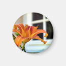 Search for tiger lily magnets Floral