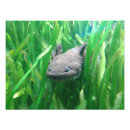 Search for herp posters Animal