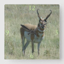 Search for pronghorn art Antelope
