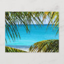Search for frond postcards Palm tree