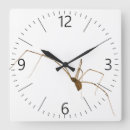 Search for creepy spider clocks Web