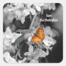 Search for floral wings stickers Nature