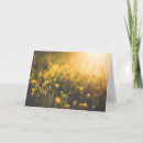 Search for buttercup cards Floral
