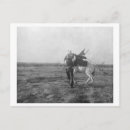 Search for saddle postcards Cowboy