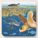 Search for weeds coasters Ocean