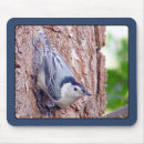 Search for birder electronics Wildlife