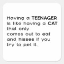 Search for motivational cat stickers Humour