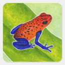 Search for dart frog stickers Rainforest