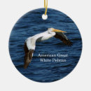 Search for pelican christmas tree decorations Nature
